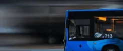 Buses