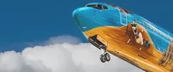 Flights